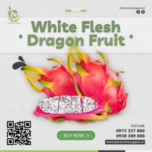 White Flesh Dragon Fruit